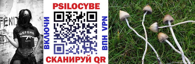 Псилоцибиновые грибы Psilocybe сайты даркнета какой сайт Певек